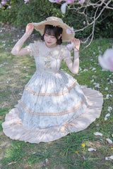 Multi-Color Cherry Butterfly Printed Embroidered Ruffle Sweet Lolita JSK Dress - Product - 7
