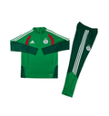 Algeria 2026 1/4 Zipper Tracksuit Green