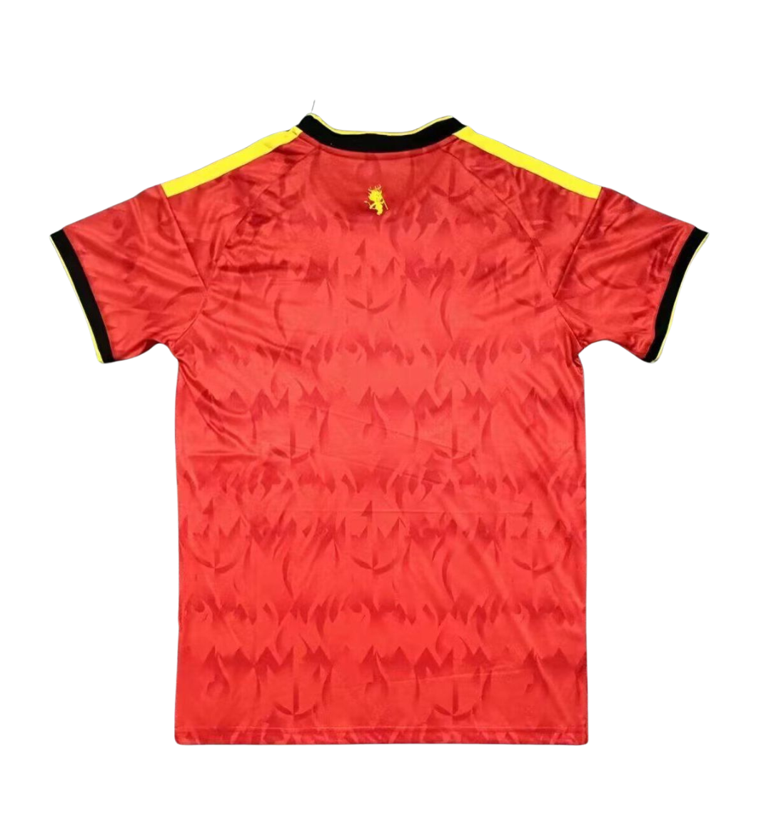 Belgium 2026 Home - view 2