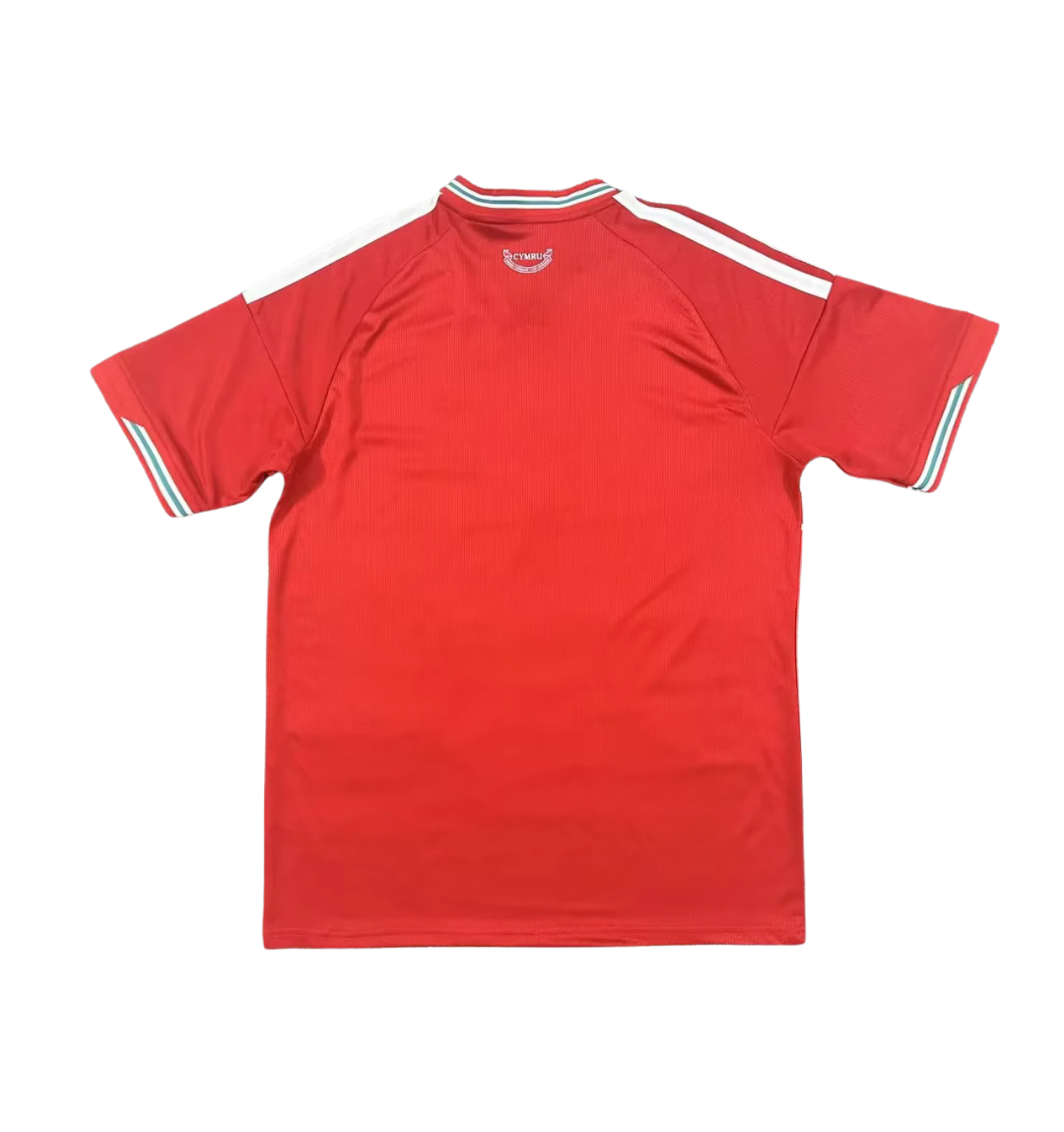 Wales 2026 Home - view 2