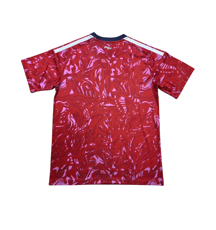 Costa Rica 2026 Home - view 2