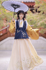 Chinese Ancient Style Collocation Waistcoat Sweet Hanfu Dress - Product - 7