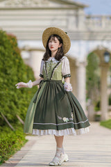 Multi-Color Doll Collar Embroidered Short Sleeves Classic Lolita Dress - Product - 5