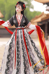 Ancient Tang Dynasty Embroidery Printing Sweet Hanfu Dress - Product - 6