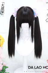Black/Brown Secondary Long Straight Double Ponytail Sweet Lolita Wigs - Black/Brown - 1