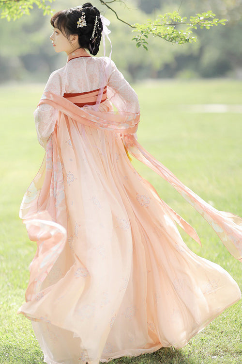 Chinese Ancient Style Fairy Elegant Chiffon Sweet Hanfu Dress Full Set - Product - 6