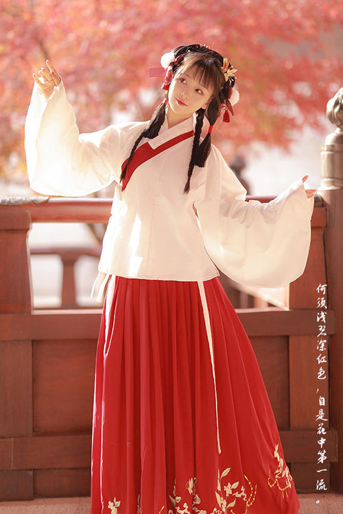 Chinese Ancient Style Collocation Waistcoat Sweet Hanfu Dress - Product - 5