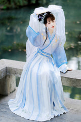 Chinese Chest Cuffs Beautifully Embroidered Sweet Hanfu Dress Full Set - Product - 3