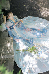 Chinese Ancient Style Fairy Elegant Chiffon Sweet Hanfu Dress Full Set - Product - 4