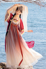 Chinese Tang Dynasty Design Style Embroidered Chiffon Short Sleeves Sweet Hanfu Dress - Product - 5