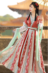 Ancient Tang Dynasty Embroidery Printing Sweet Hanfu Dress - Product - 14