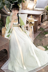 Chinese Tang Dynasty Design Style Embroidered Chiffon Short Sleeves Sweet Hanfu Dress - Product - 2