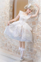 White/Blue [Flower and Letter] Swan Lake Print Ruffle Bowknot Elegant Lolita Jsk Dress - Product - 6