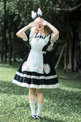 Black Meet Alice Long Sleeves Ruffle Lace Sweet Princess Lolita Jsk Dress - Product - 5