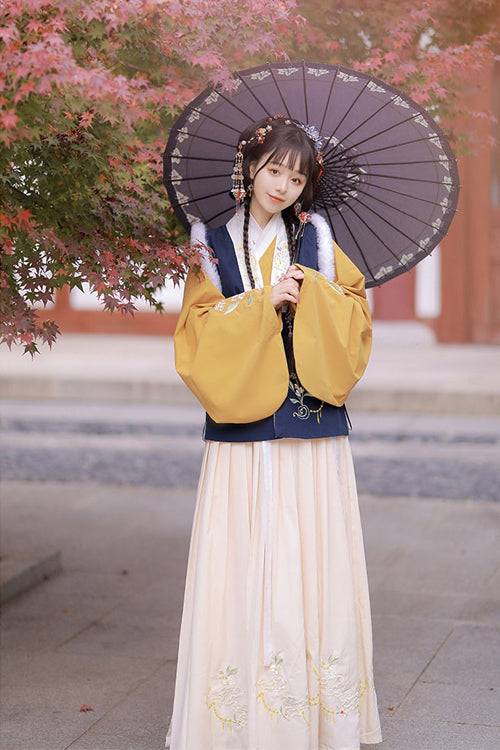 Chinese Ancient Style Collocation Waistcoat Sweet Hanfu Dress - Product - 8