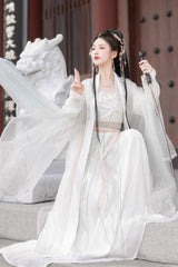 White Long Sleeves High Waisted Jacquard Print Embroidery Women's Sweet Hanfu Dress Full Set - Product - 3