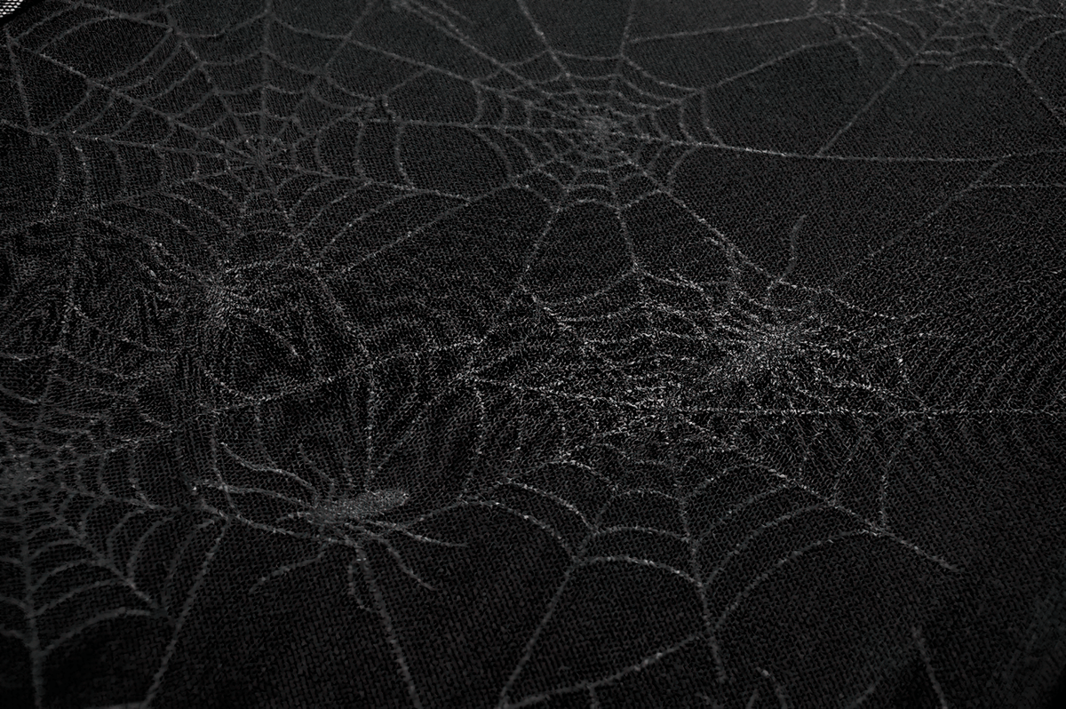 Spiderweb Lace-Up Dress with Sheer Sleeves and Straps - image 11