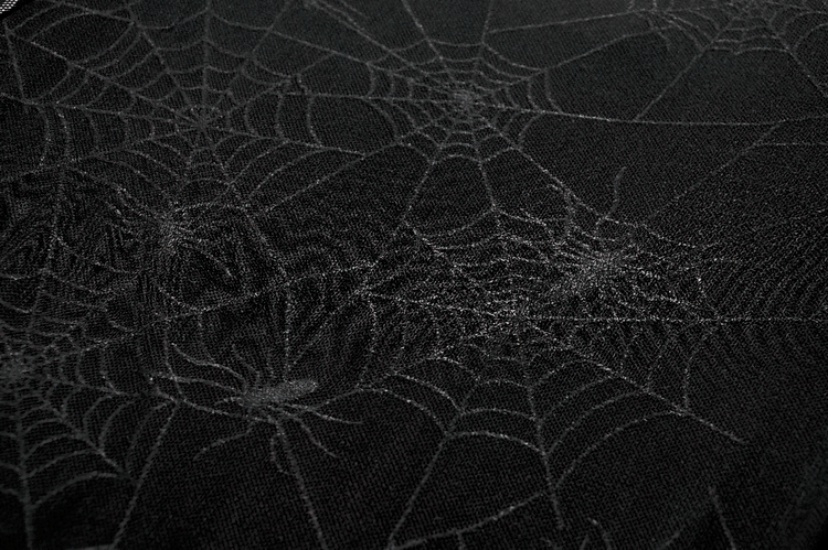 Spiderweb Lace-Up Dress with Sheer Sleeves and Straps - image 11